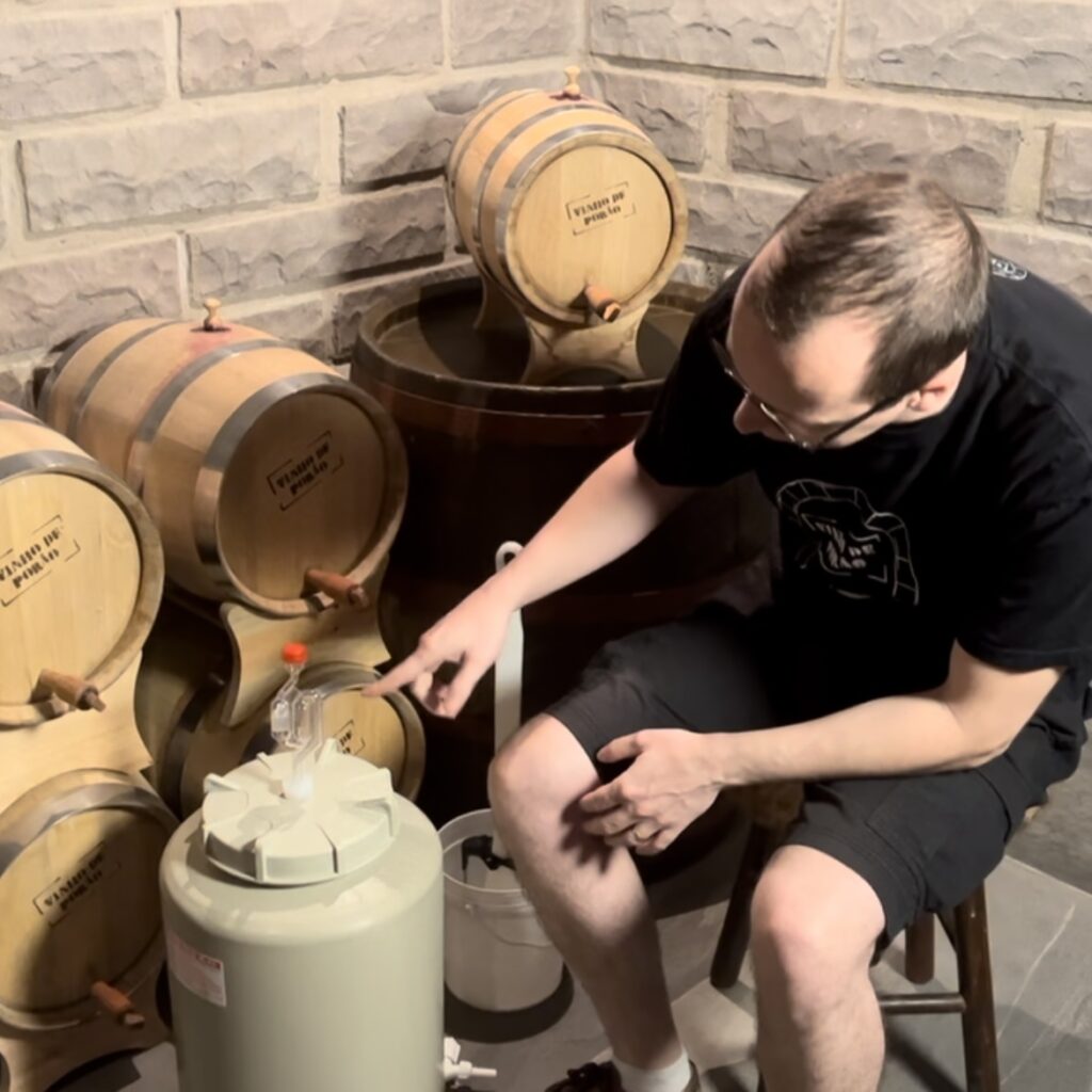 Processo de produção de vinho artesanal