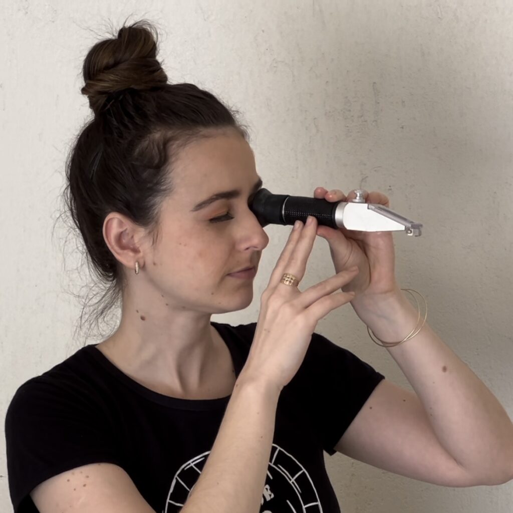 Processo de produção - Vinho Artesanal